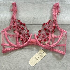 NWT For Love & Lemons Whimsical Garden Bra Size 34C Pink Red Hearts Flowers Bows